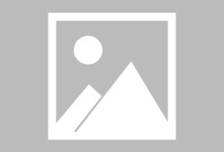 -v6.5.0 版本 · 2025年12月18日